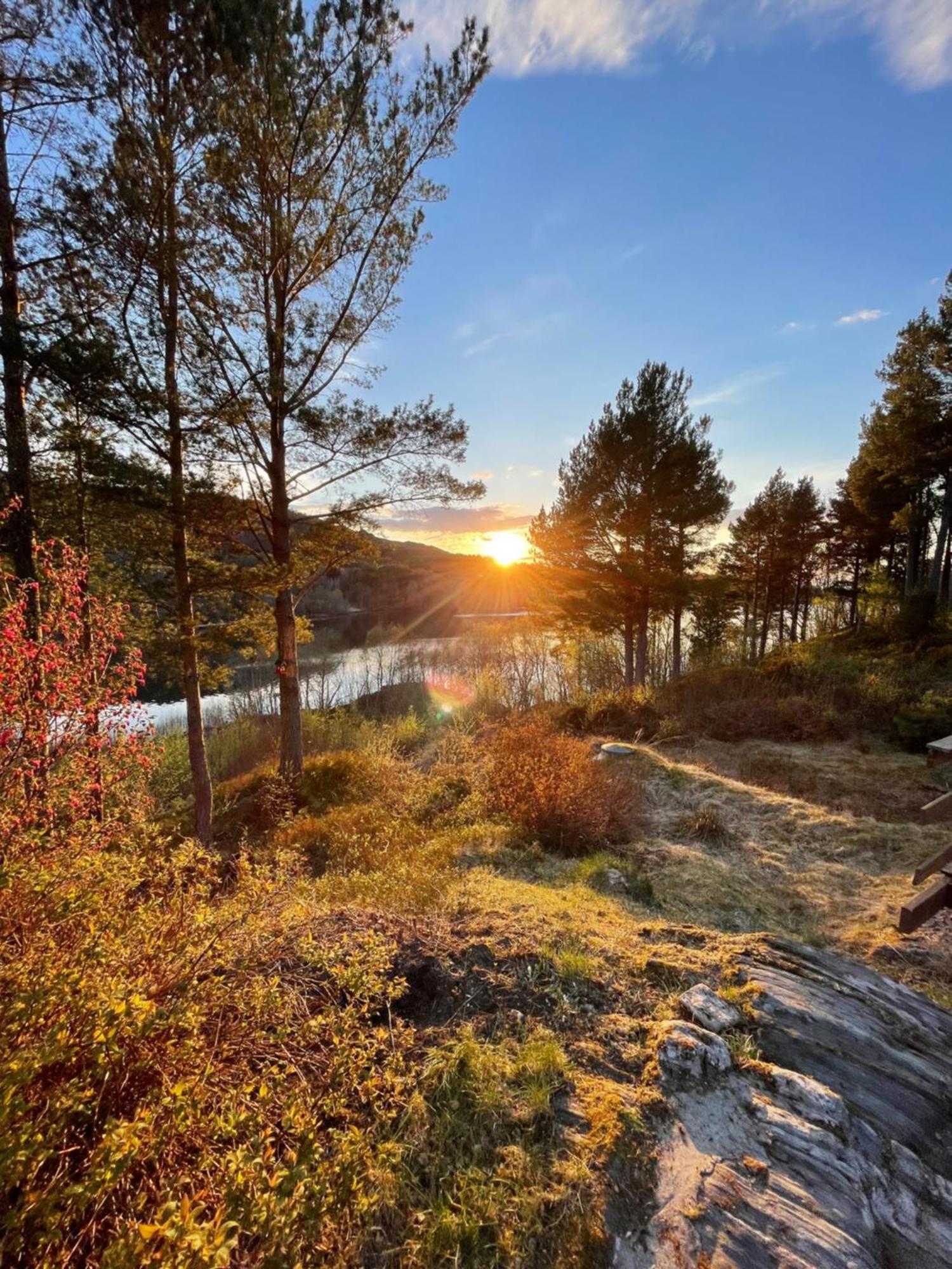 Hytte I Naturskjonne Omgivelser Sofstad Exteriér fotografie