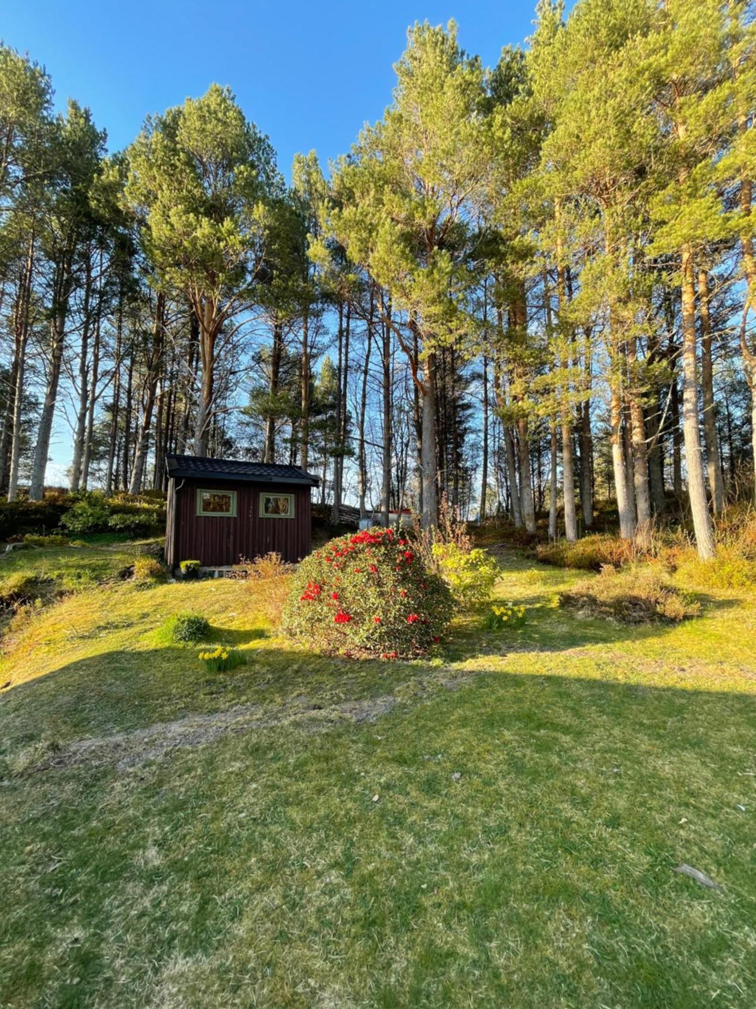 Hytte I Naturskjonne Omgivelser Sofstad Exteriér fotografie